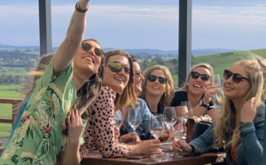 Why Private Group Winery Tours Are Perfect for Your Next Celebration